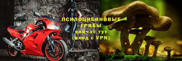 соль ск Абдулино