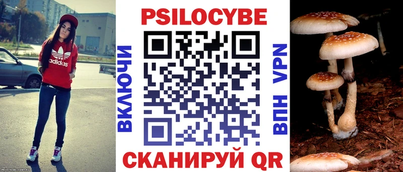 Псилоцибиновые грибы MAGIC MUSHROOMS  Старый Крым 